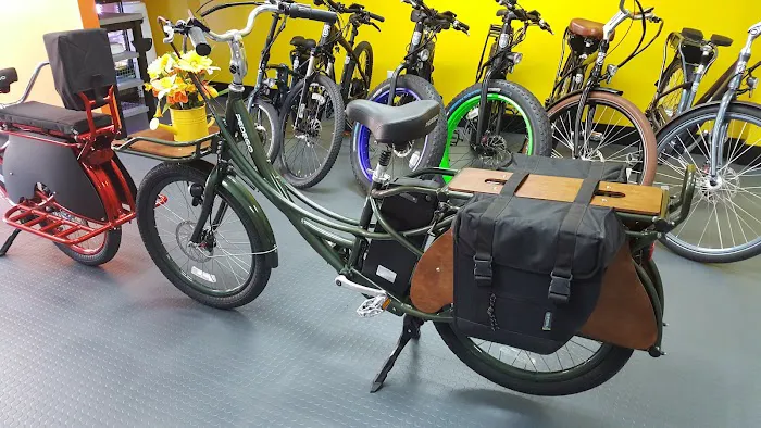 Pedego E-Bikes Juno Beach Picture 10