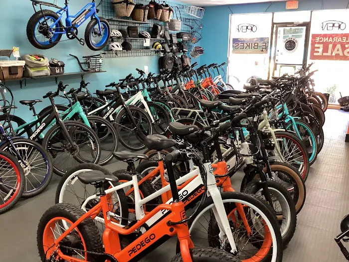Pedego E-Bikes Juno Beach Picture 7