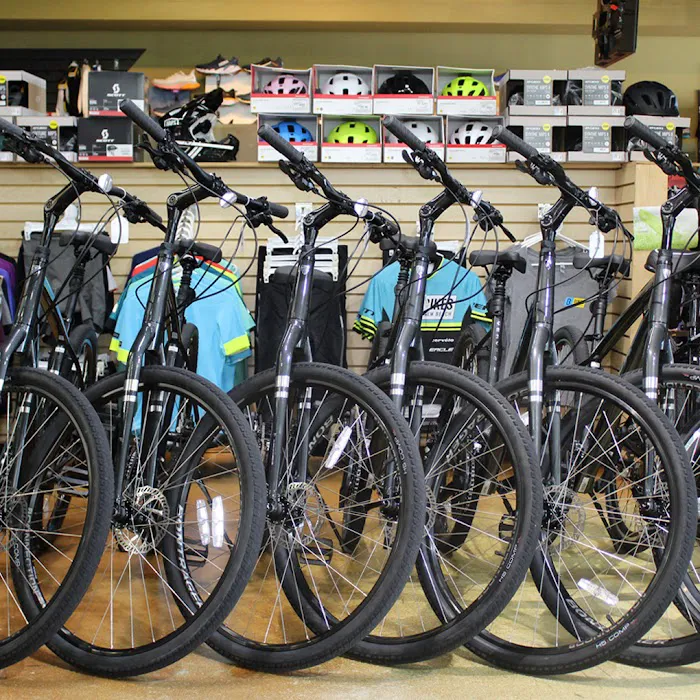 Bikes Palm Beach Picture 2