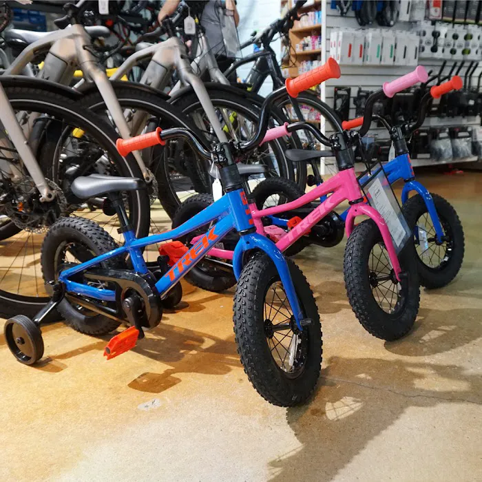 Bikes Palm Beach Picture 6