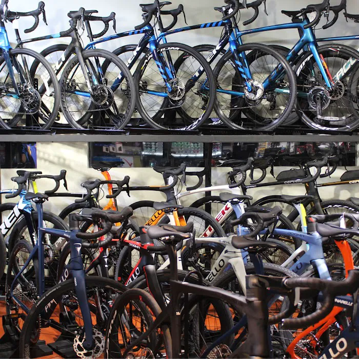 Bikes Palm Beach Picture 10