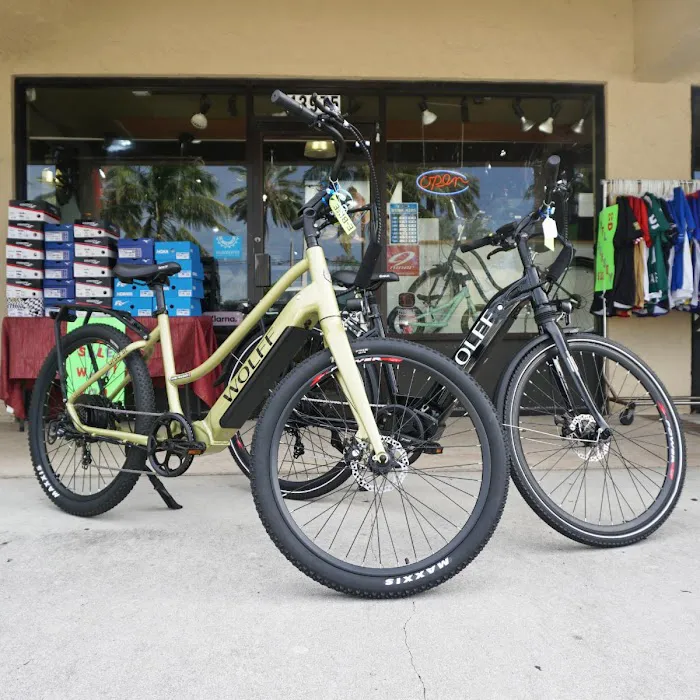 Bikes Palm Beach Picture 4