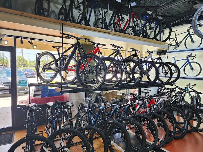 Bikes Palm Beach Picture 3