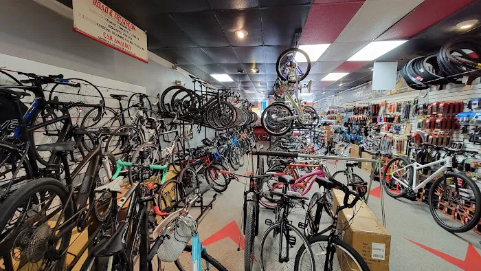 Real Deal Bicycles Picture 6