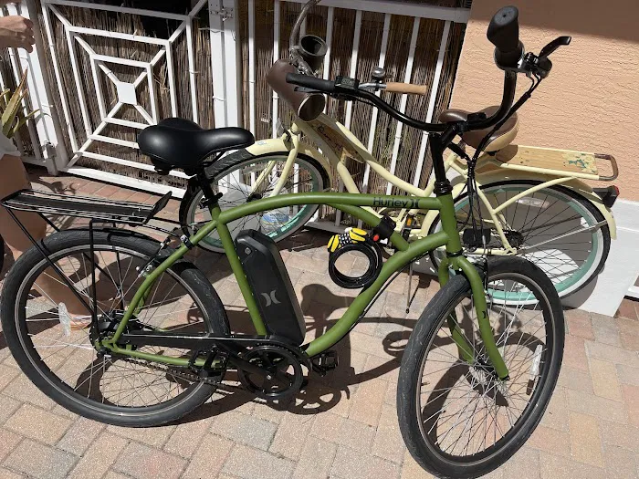 Real Deal Bicycles Picture 9