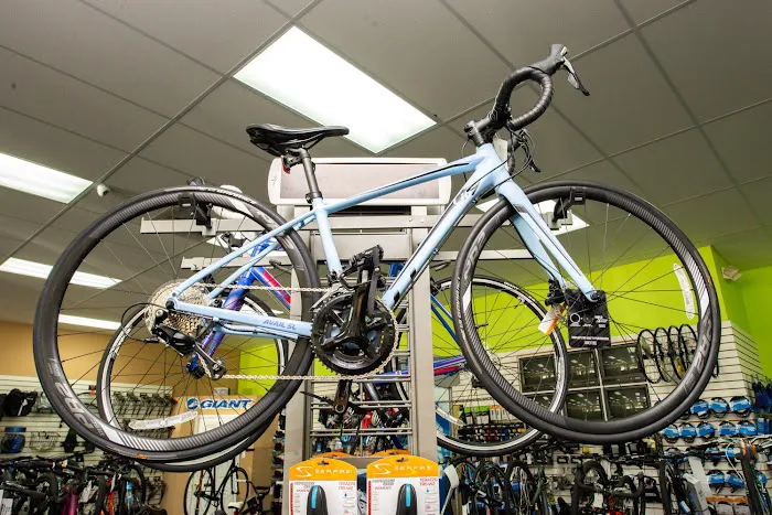 Bicycle World Picture 7