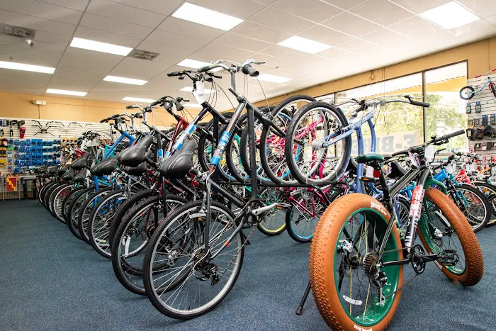Bicycle World Picture 4