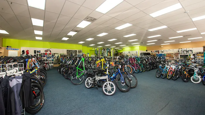 Bicycle World Picture 10