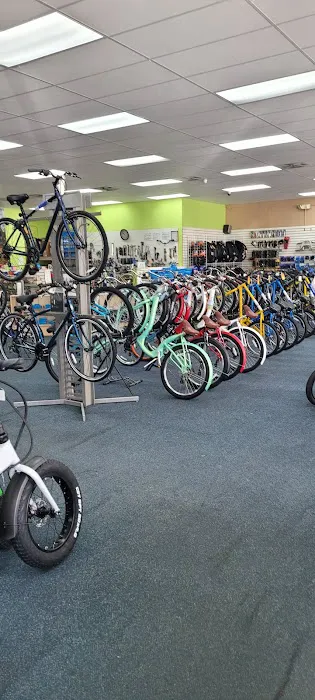 Bicycle World N Palm Beach Picture 2
