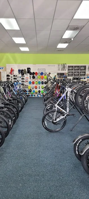 Bicycle World N Palm Beach Picture 4