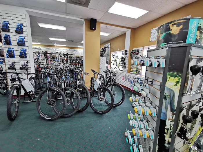 Bicycle World N Palm Beach Picture 1