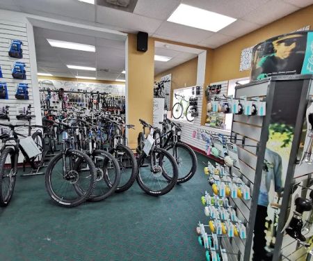 Bicycle World N Palm Beach