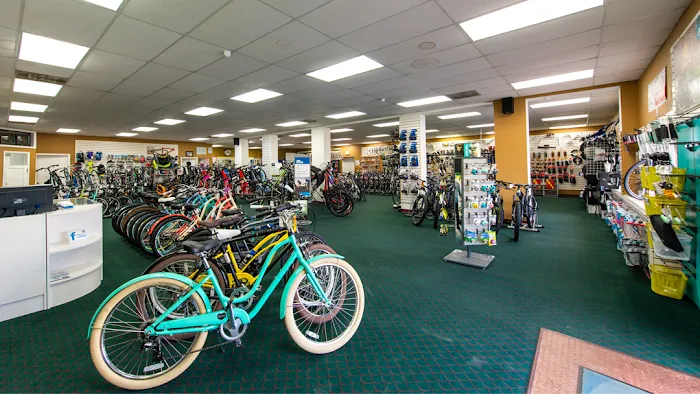 Bicycle World N Palm Beach Picture 10