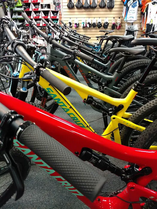 J-Town Bicycle Picture 6