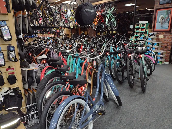 J-Town Bicycle Picture 8