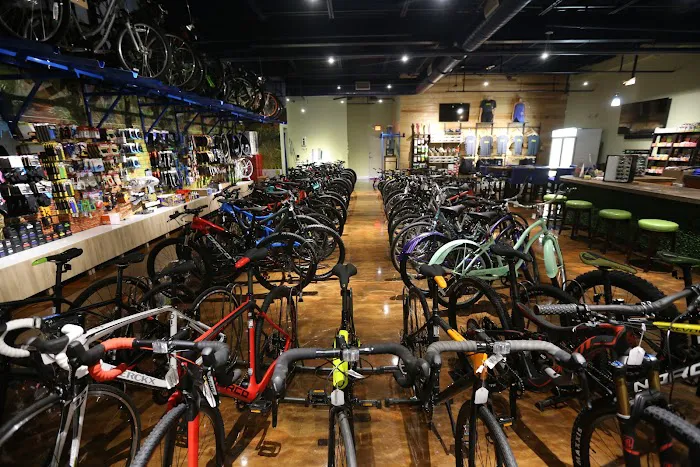 Riders Only Bike Shop Picture 8