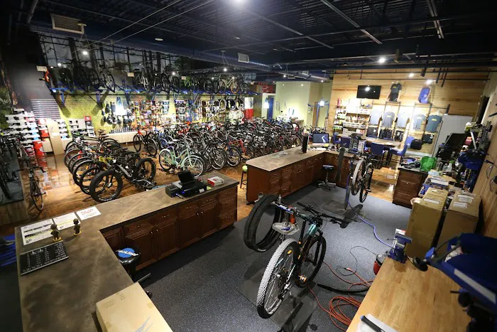 Riders Only Bike Shop Picture 6