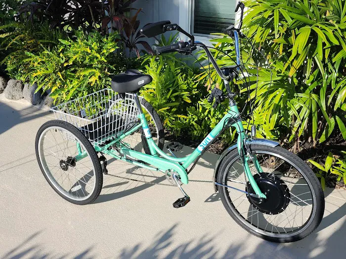 Bikes Plus South Stuart Picture 5
