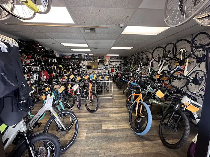 Bikes Plus Picture 4