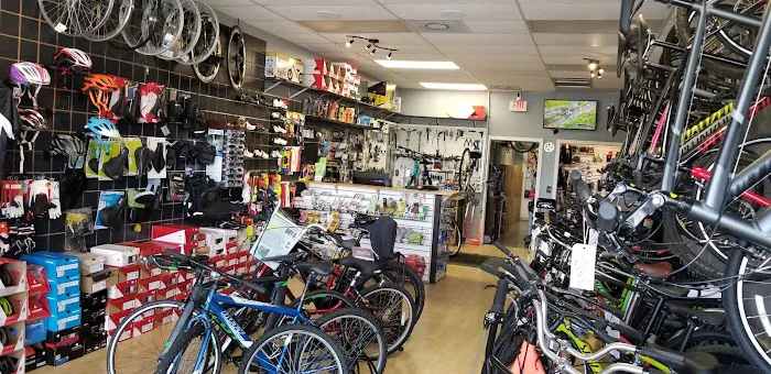Bikes Plus Picture 8