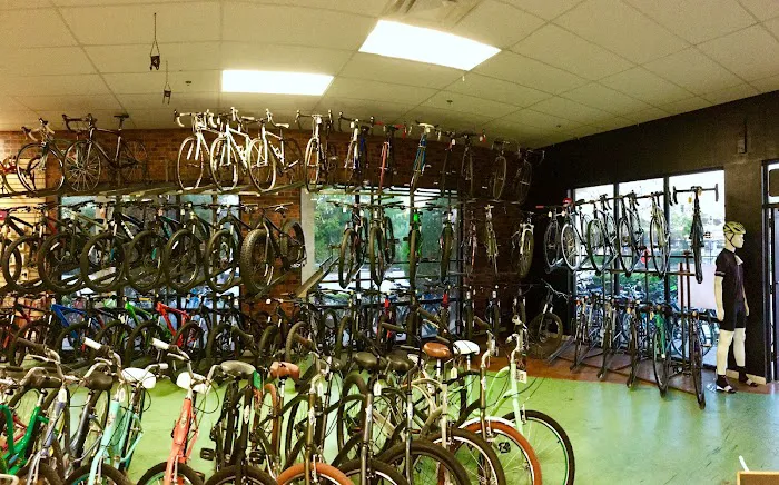 Treasure Coast Cycle Werks Picture 4