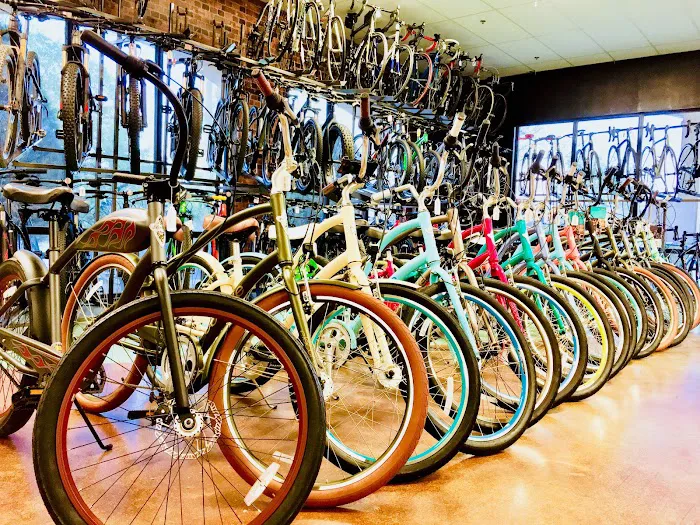 Treasure Coast Cycle Werks Picture 8