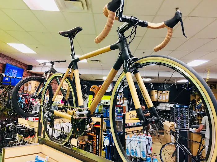 Treasure Coast Cycle Werks Picture 7