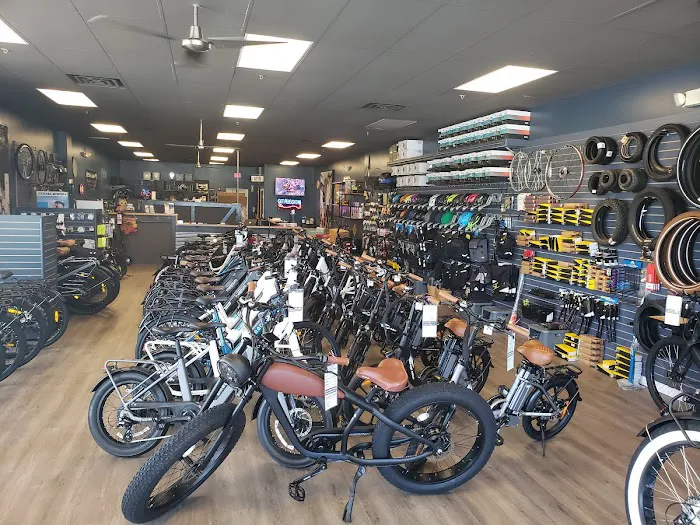 Electric Bike Shop Picture 8