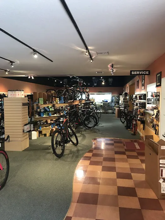 Bicycle Sport Picture 2