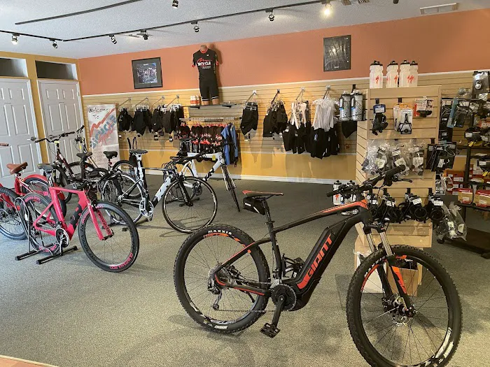 Bicycle Sport Picture 3