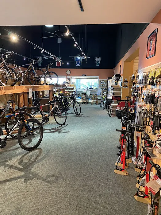 Bicycle Sport Picture 4
