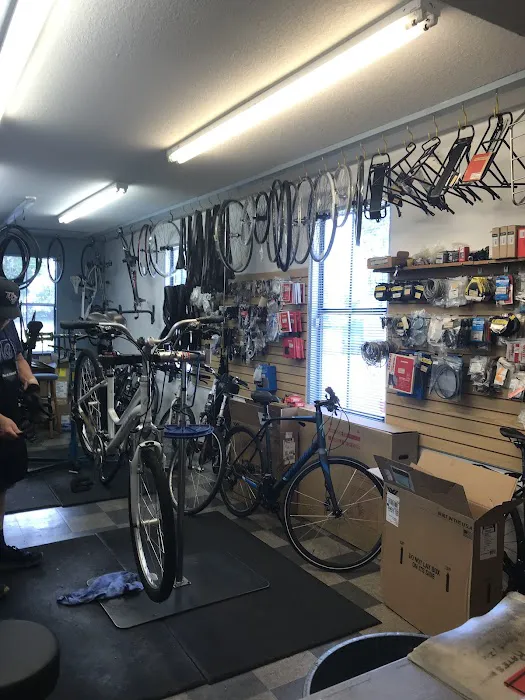 Bicycle Sport Picture 6