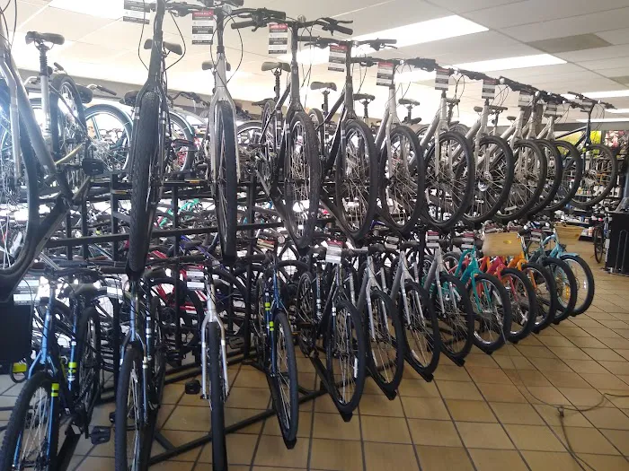 Trek Bike Shop of Vero Beach Picture 6