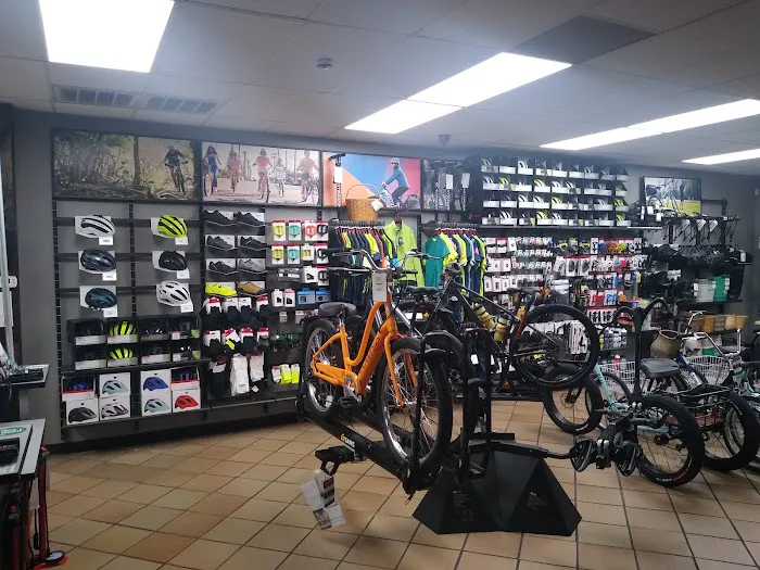 Trek Bike Shop of Vero Beach Picture 5