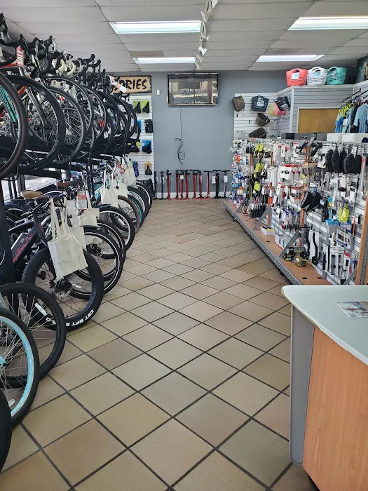Trek Bike Shop of Vero Beach Picture 1