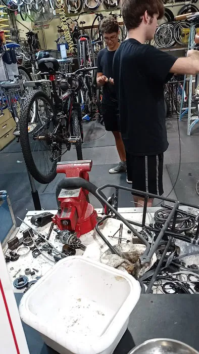 Alan's Bicycle Center Picture 8