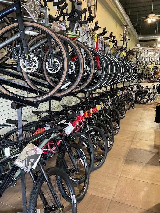 Alan's Bicycle Center Picture 10