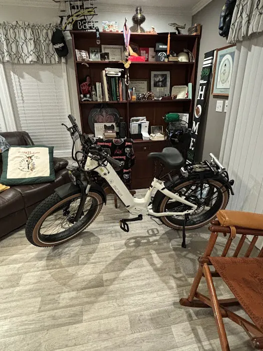 E Power Bike Shop Picture 6