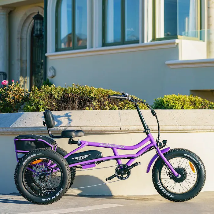 E Power Bike Shop Picture 10