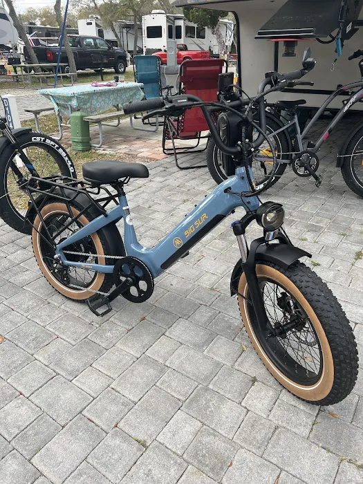 E Power Bike Shop Picture 4