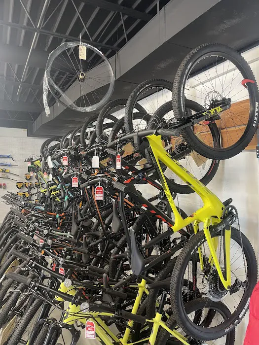 Melonbike Picture 7