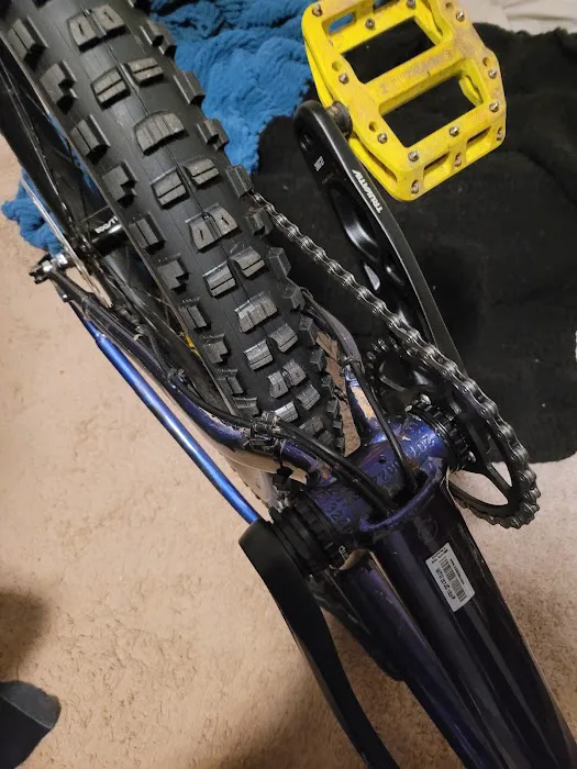 Phat Tire Bike Shop Picture 2