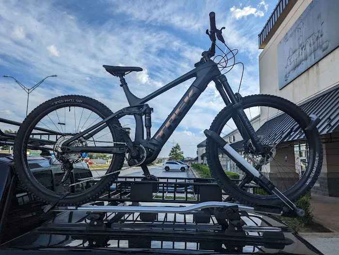 Phat Tire Bike Shop Picture 6