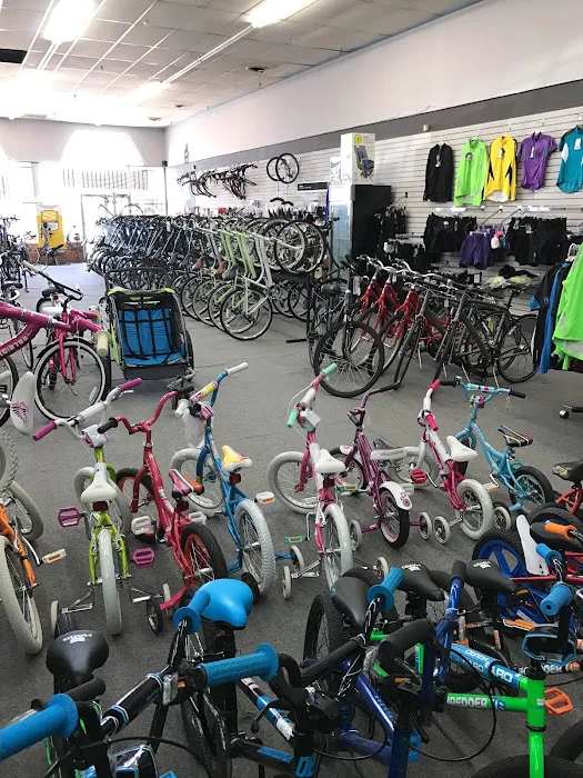 Al's Bicycles Picture 2
