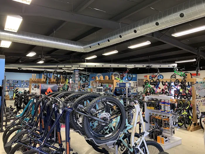 Al's Bicycles Picture 4