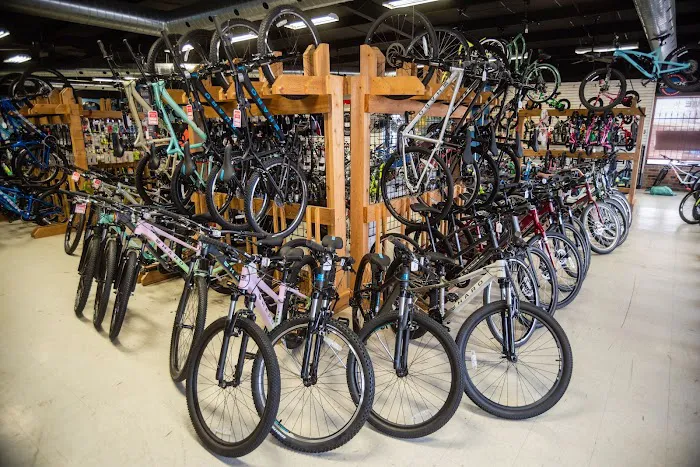 Al's Bicycles Picture 1