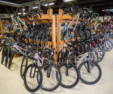 Al's Bicycles