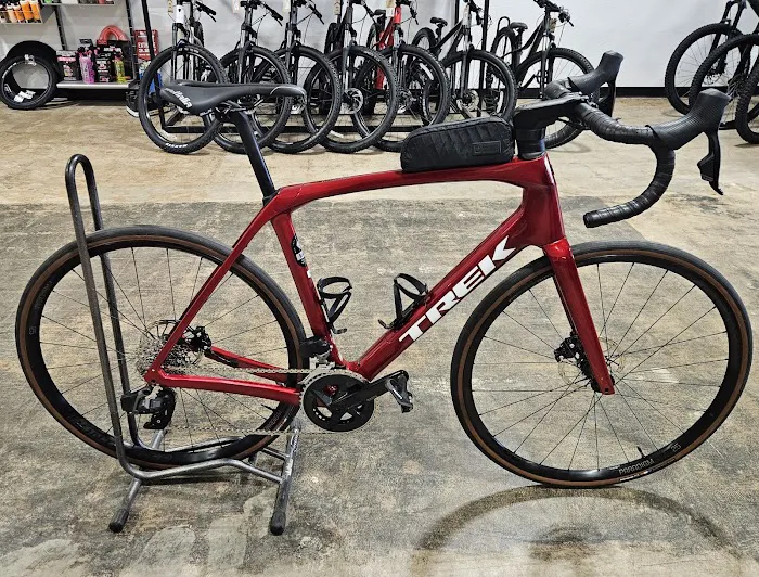 Phat Tire Bike Shop Picture 4