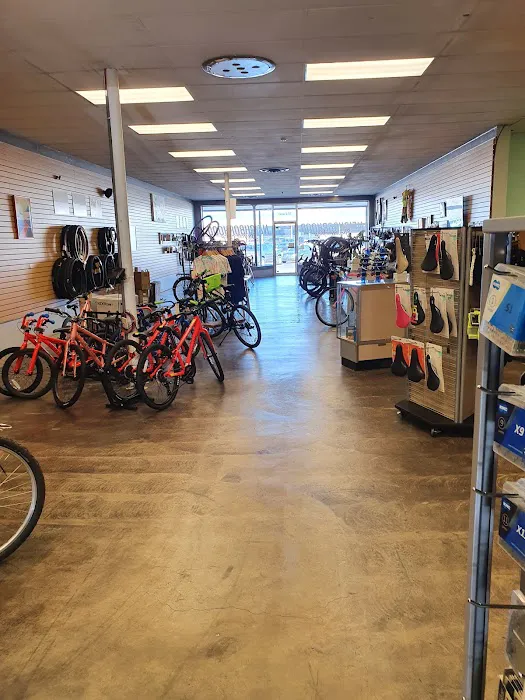 Neighborhood Bicycle Shop Picture 2