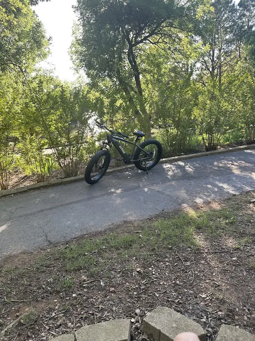 Phat Tire Bike Shop Picture 5